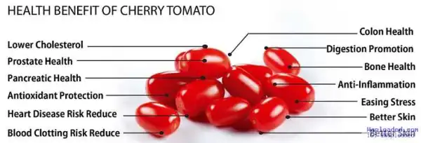 See How Eating Tomatoes Can Keep You Young